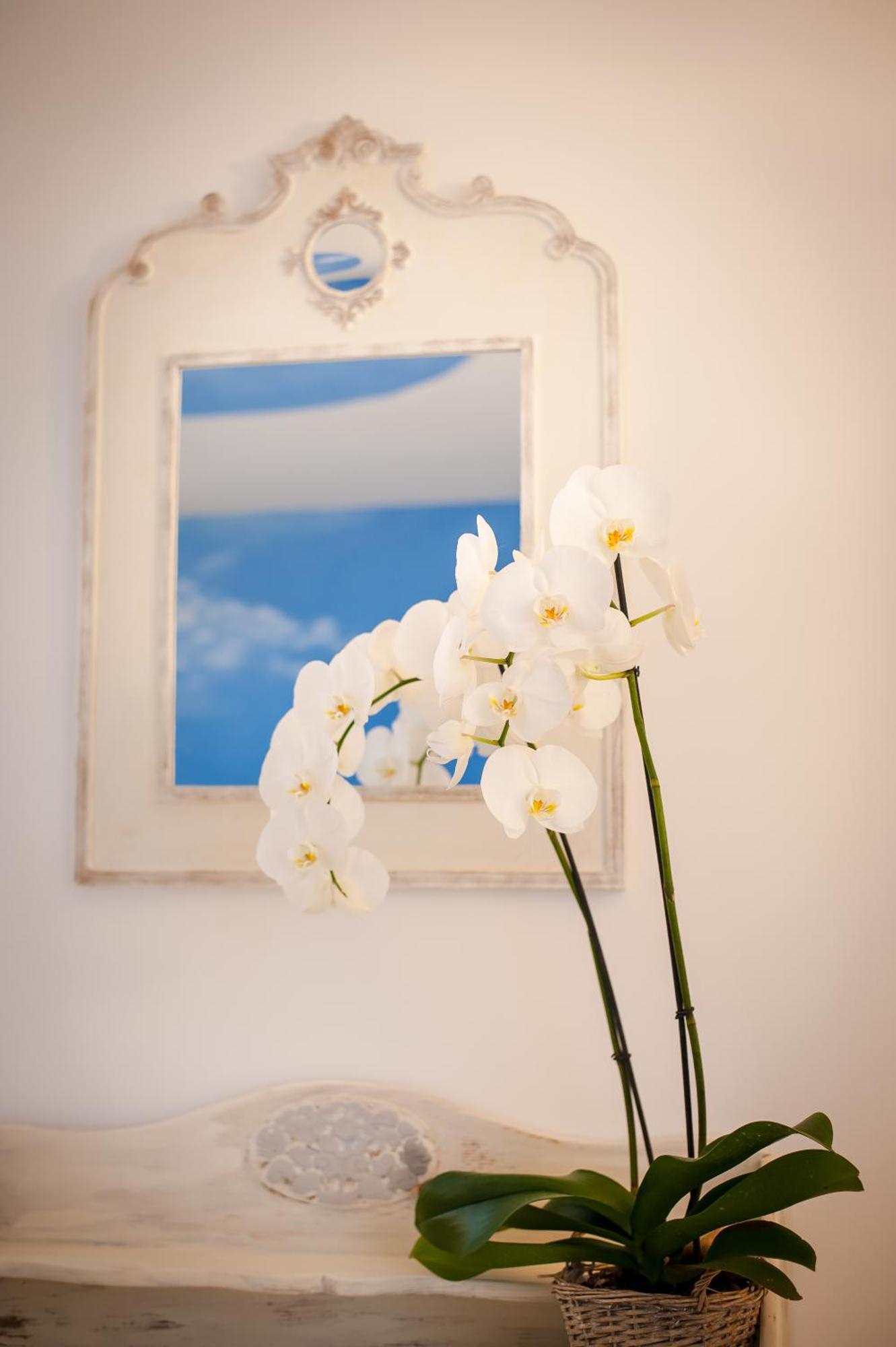 Les 4 Elements Bed & Breakfast Tourrettes-sur-Loup Phòng bức ảnh