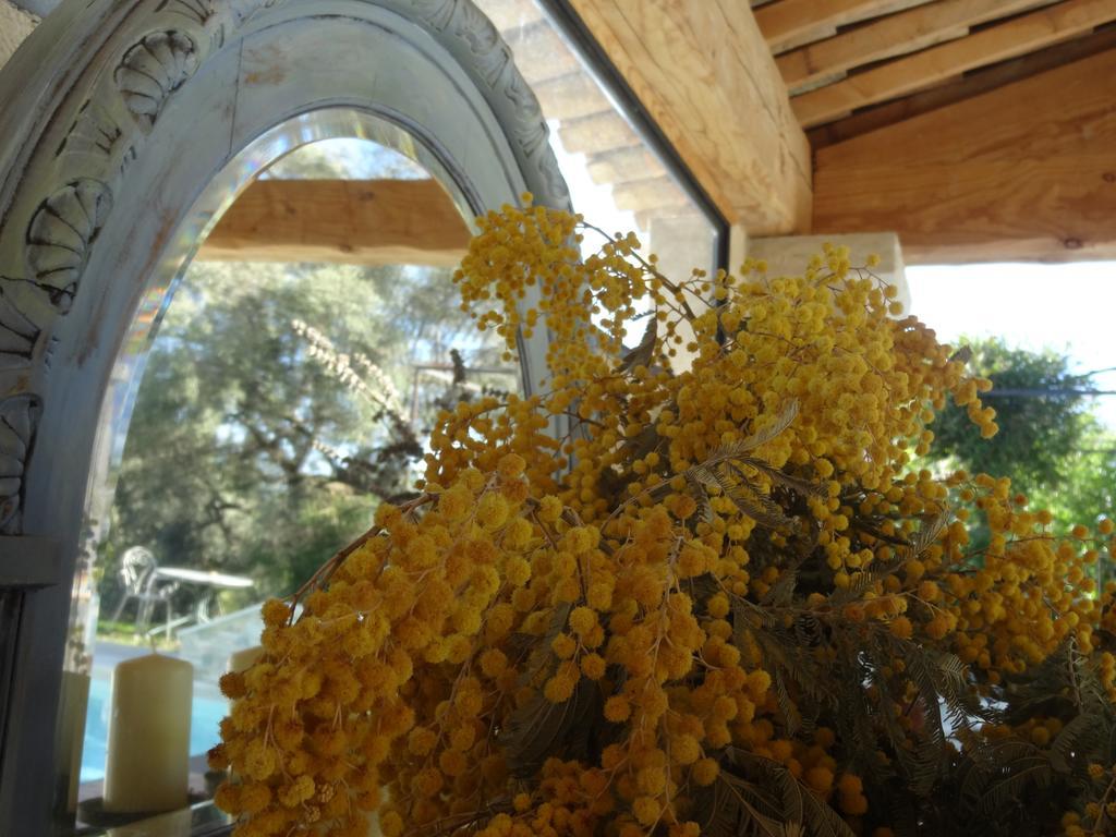 Les 4 Elements Bed & Breakfast Tourrettes-sur-Loup Ngoại thất bức ảnh