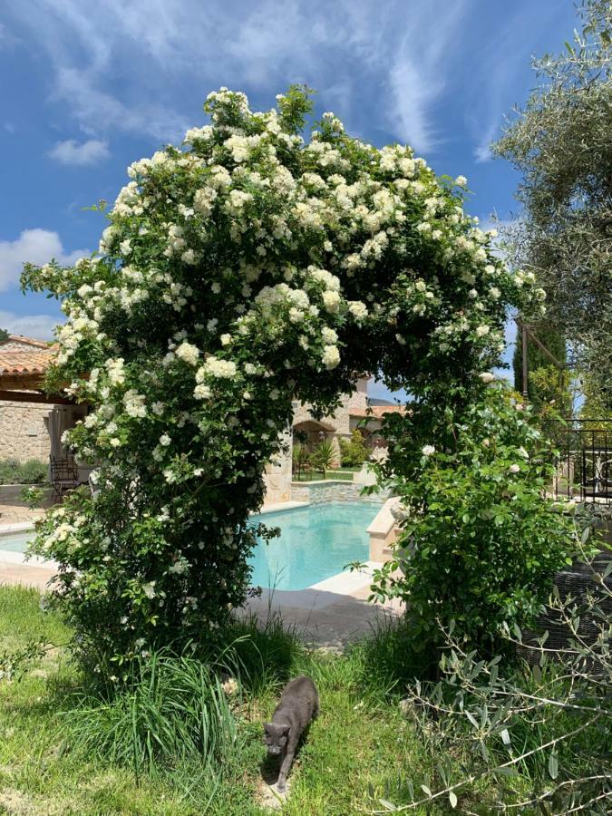 Les 4 Elements Bed & Breakfast Tourrettes-sur-Loup Ngoại thất bức ảnh