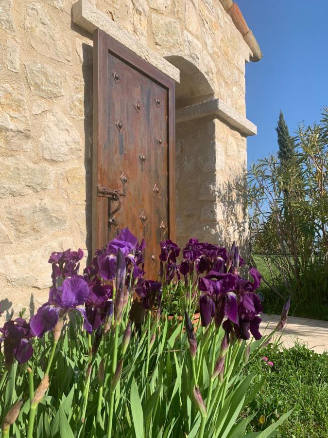 Les 4 Elements Bed & Breakfast Tourrettes-sur-Loup Ngoại thất bức ảnh
